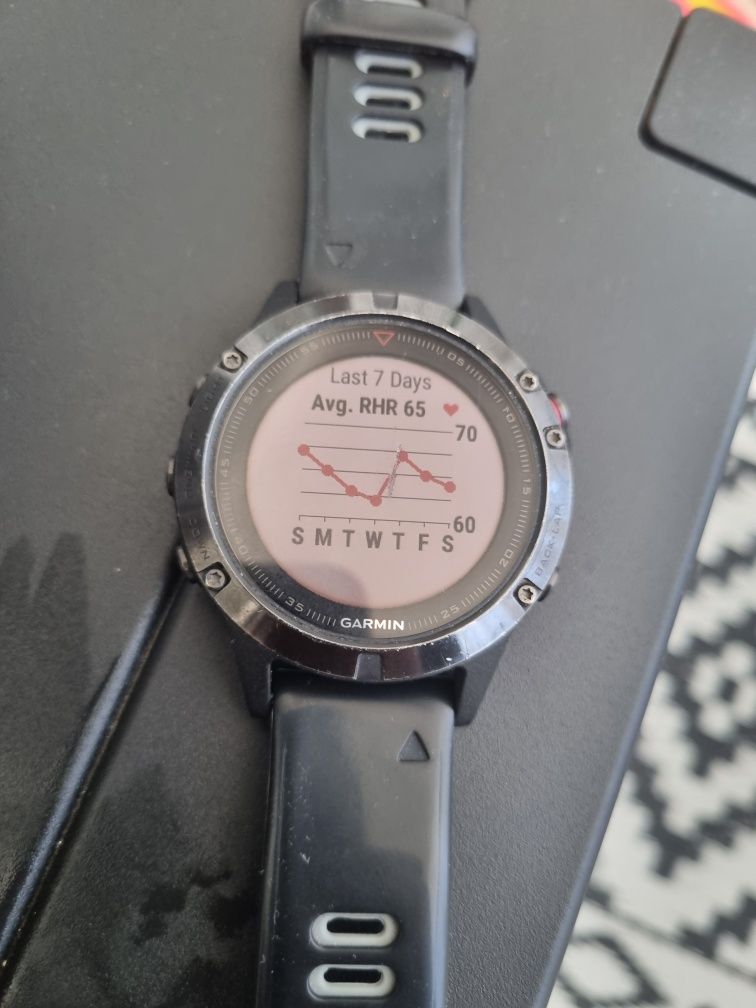 Garmin fenix 5 .
