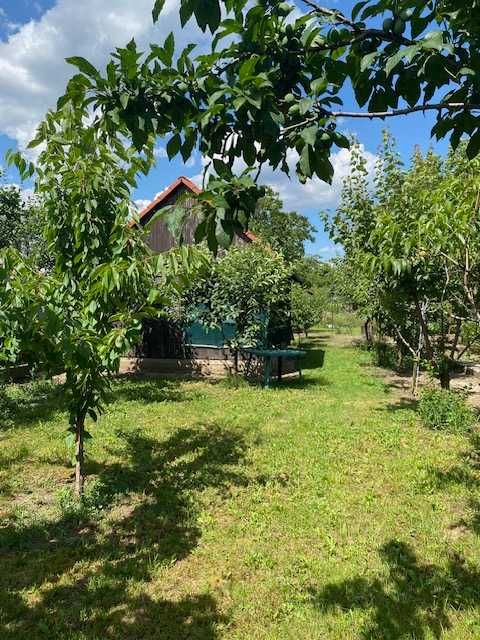 Casa cu doua corpuri de cladire în Sânicolaul Mic