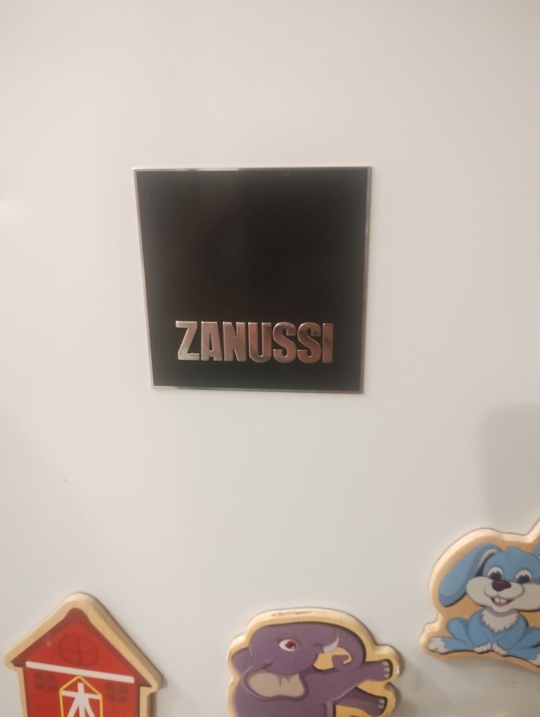 Фризер Zanussi 160л