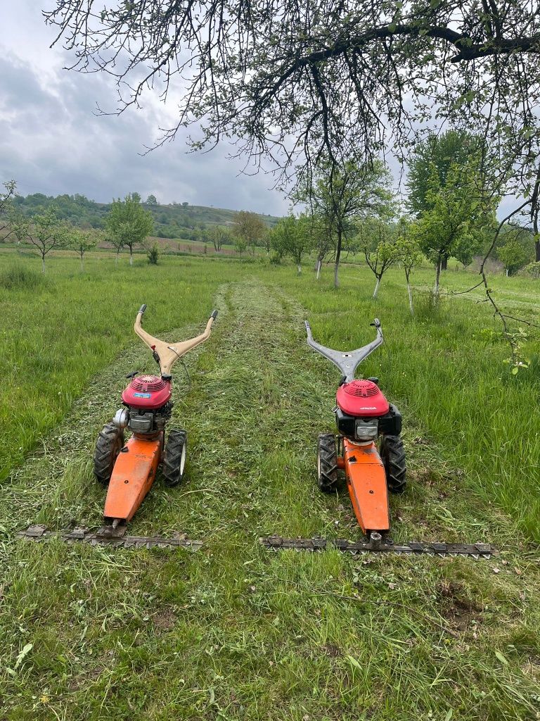 Vand coasă/cositoare Honda pe pinioane