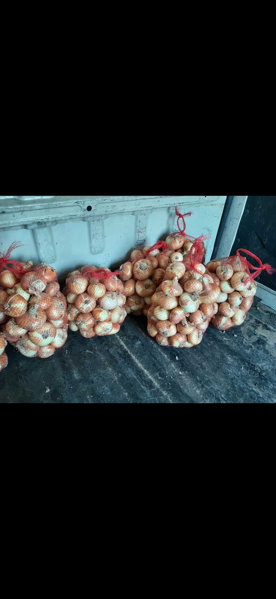 Продавам  Лук       .