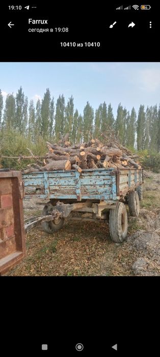 Олма гилос урик Шох ғула томир бор сотилади