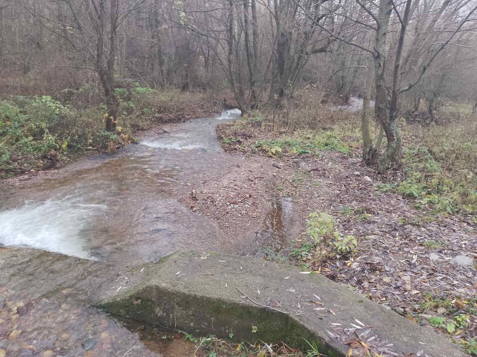 След извора на Струма над Боснек - продавам имот 2,5 дка