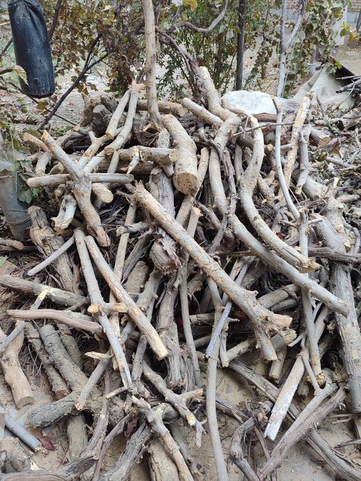 O'tin утин сотилади