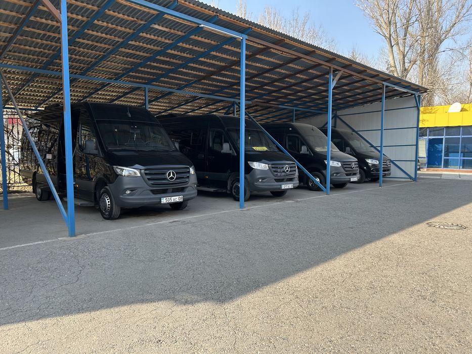 Заказ: кудалык, туризм, мероприятия