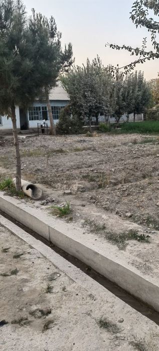 Qumqo'rg'on tumanida Qorsoqli mfuda