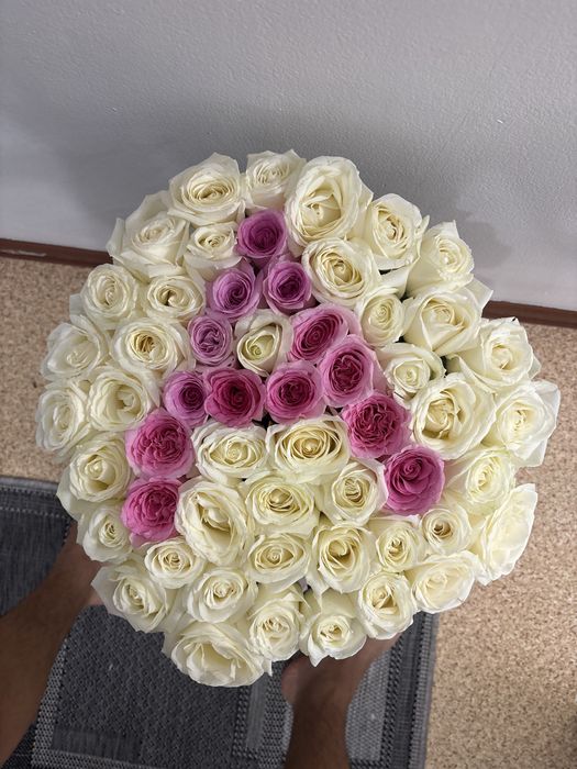 Гул свежий казир келды