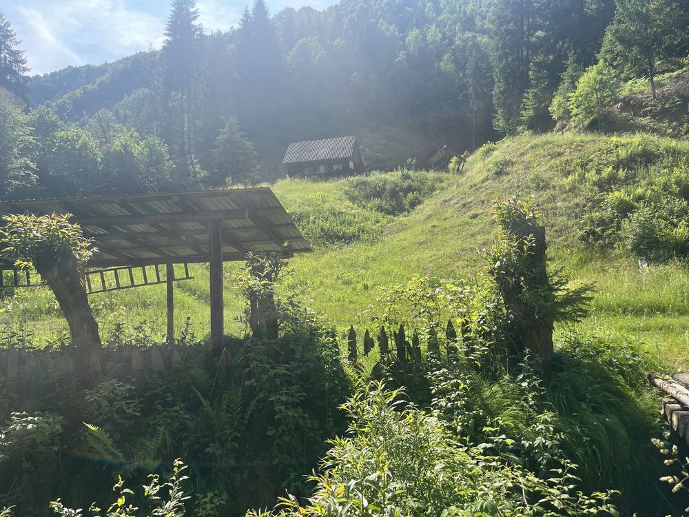 Teren de vanzare