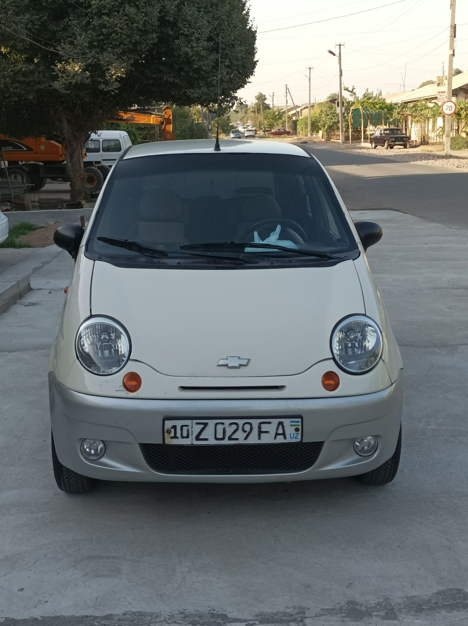 Mattiz mx xolati yaxw