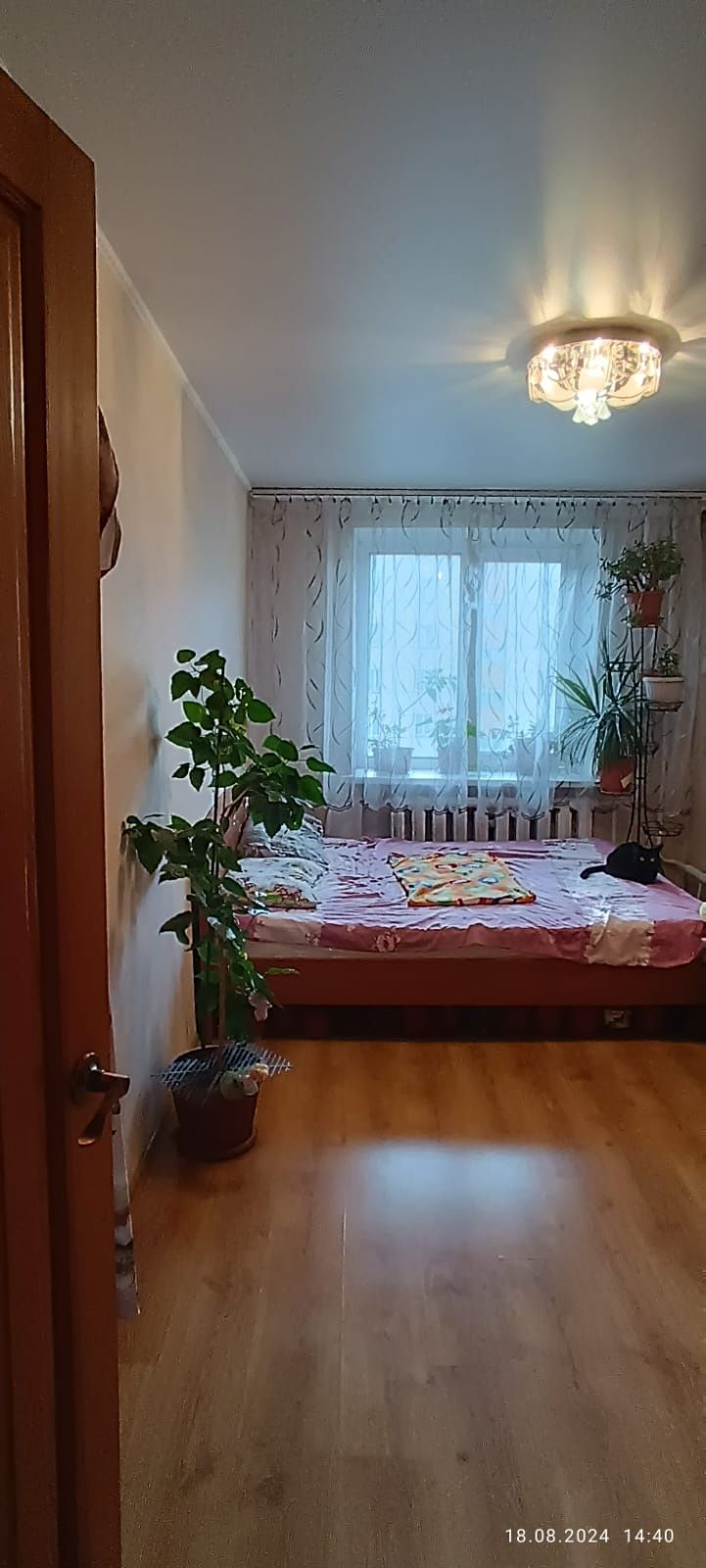 Сдаётся 2 ком молодежная