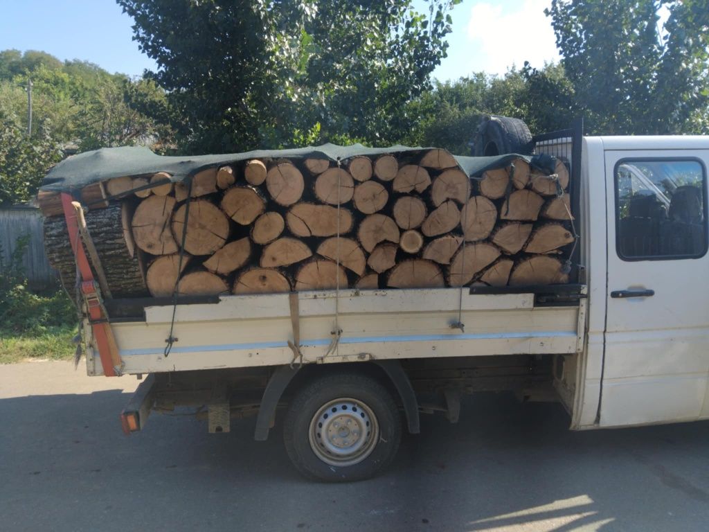 Vând lemne esență tare