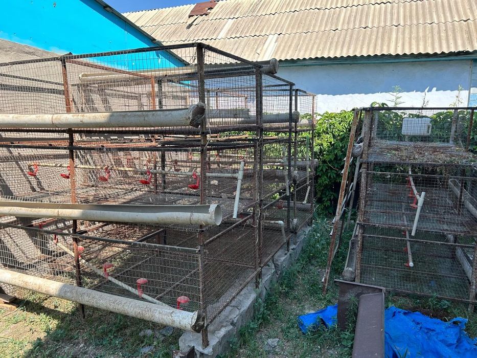 Клетка для кур бройлера автомат поилка кормушка несушка