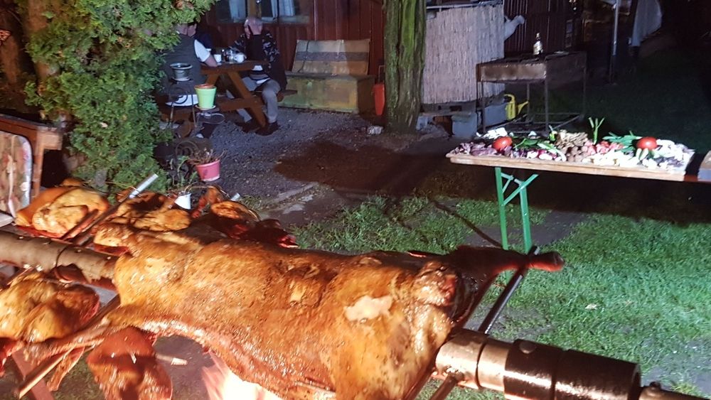 Animale protap rotisor nunti botezuri evenimente