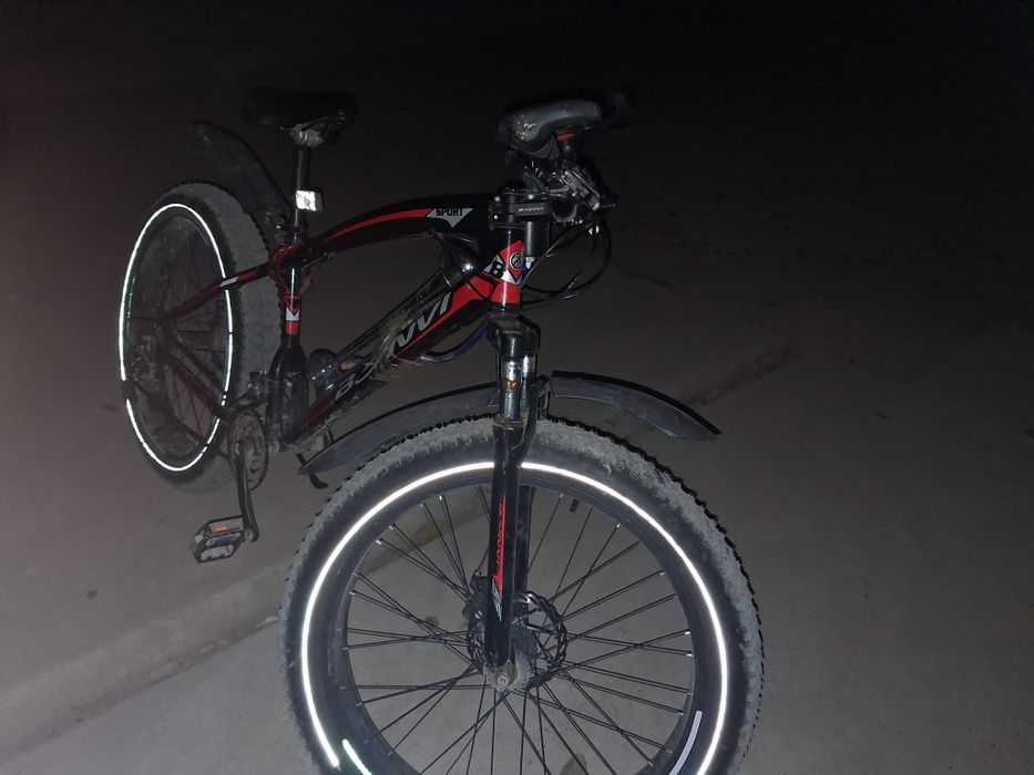 Волосепет 2020 07