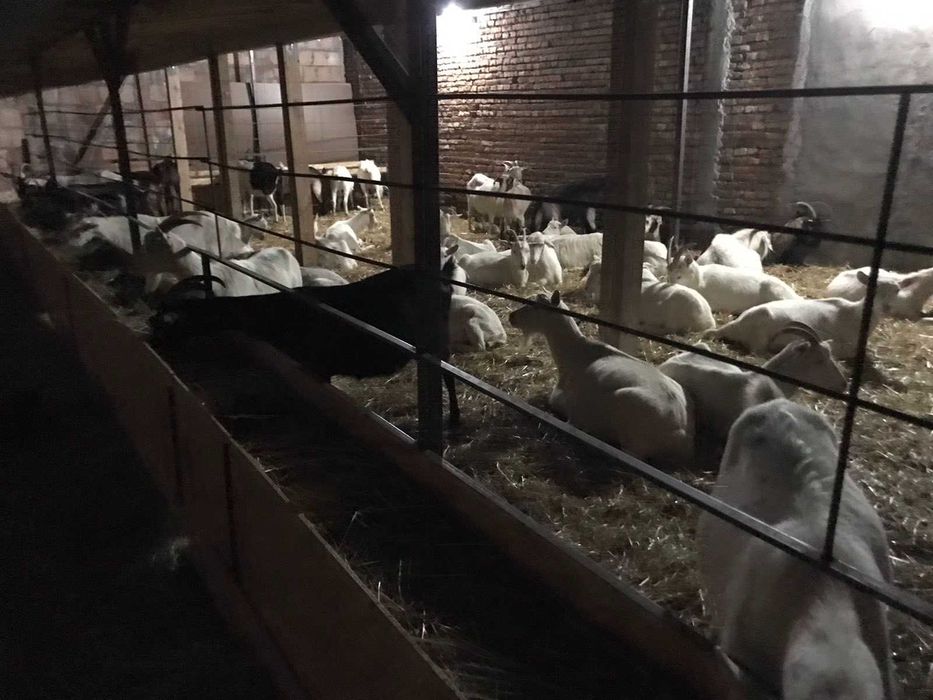 Продава се Къща в с. Кара Михал, Област Разград - 70 кв.м за 365 €/кв.м - Снимка #3