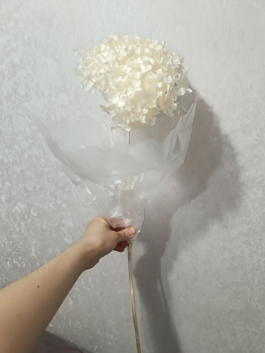 Натуральные Сухоцветы гортензии 
Высота 60 см