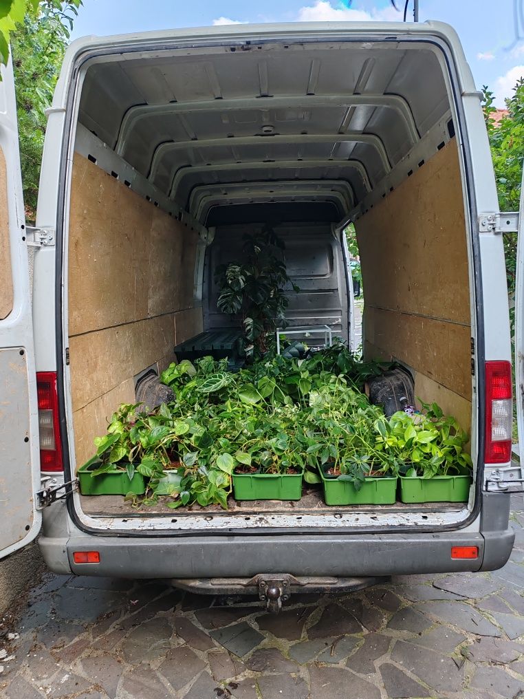 Transport, Mobilă,Bagaje,Mutari,Canapele,Marfă,Electrocasnice