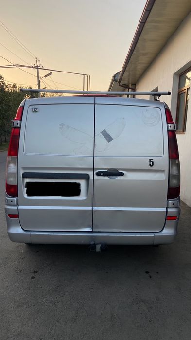 Mersides vito. .