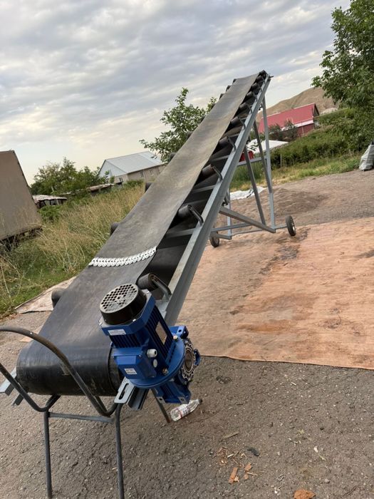 Леточный транспортер