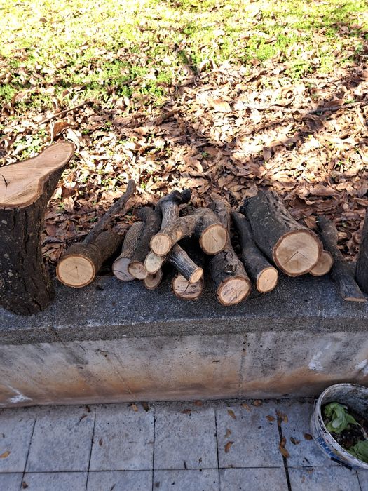 Клони от орех сухи!