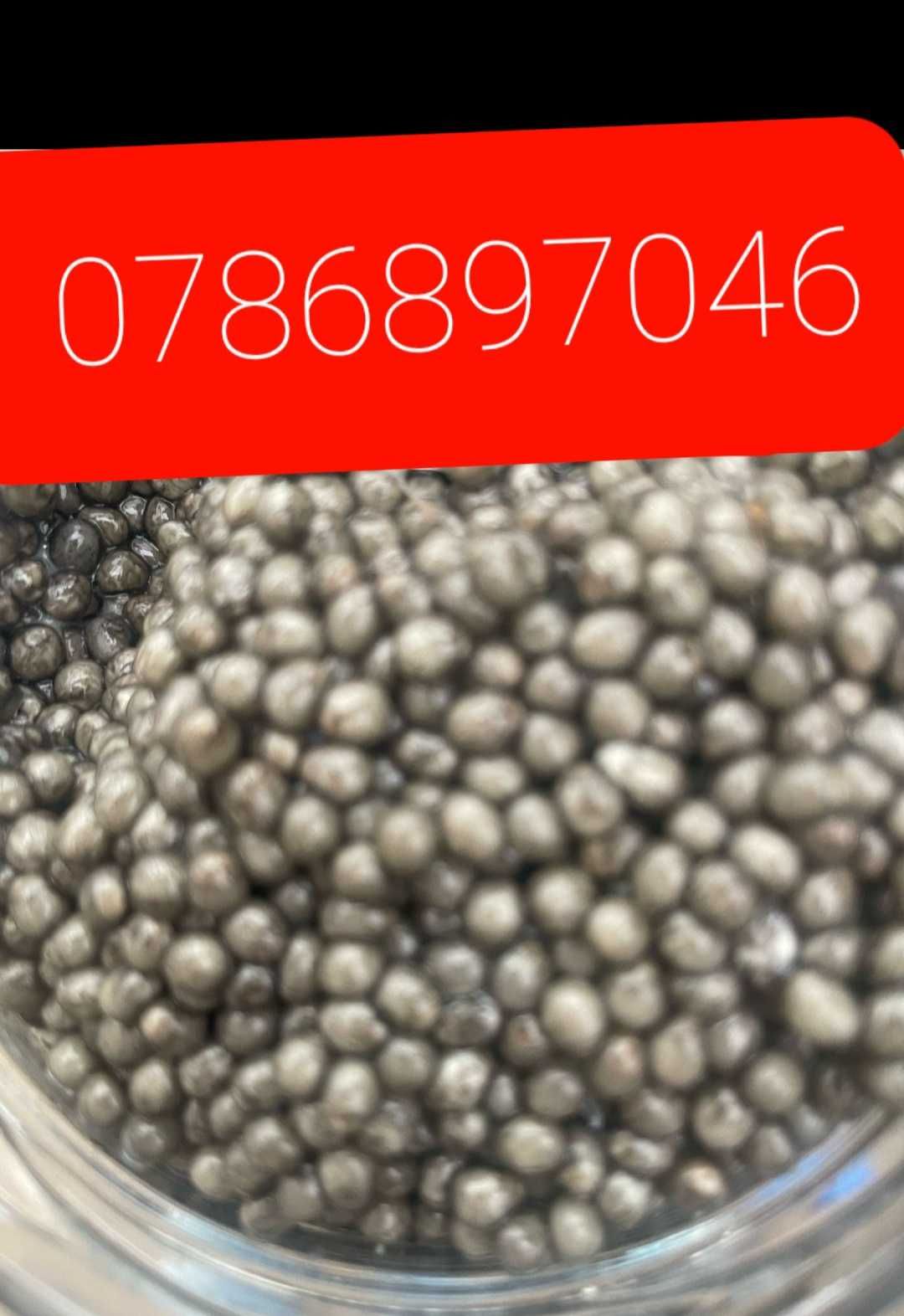 Icre negre si icre rosii - oferta pret