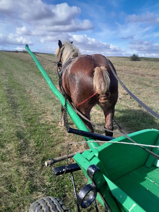Vand două manze grele