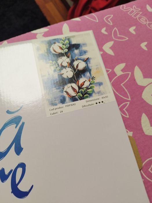 Seturi tablou pt pictat cadoul ideal