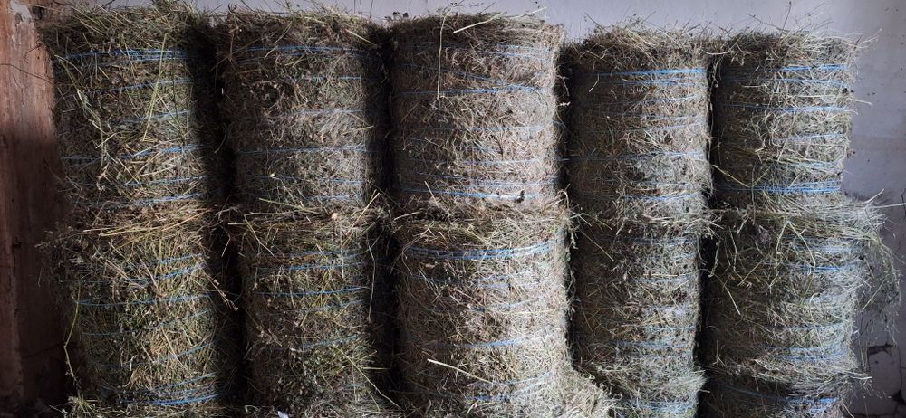 Baloți lucernă și fân