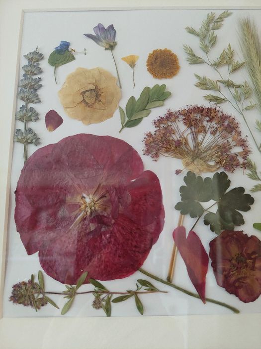 Tablou cu flori presate