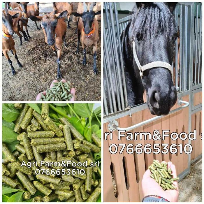 Lucerna deshidratara Peleti