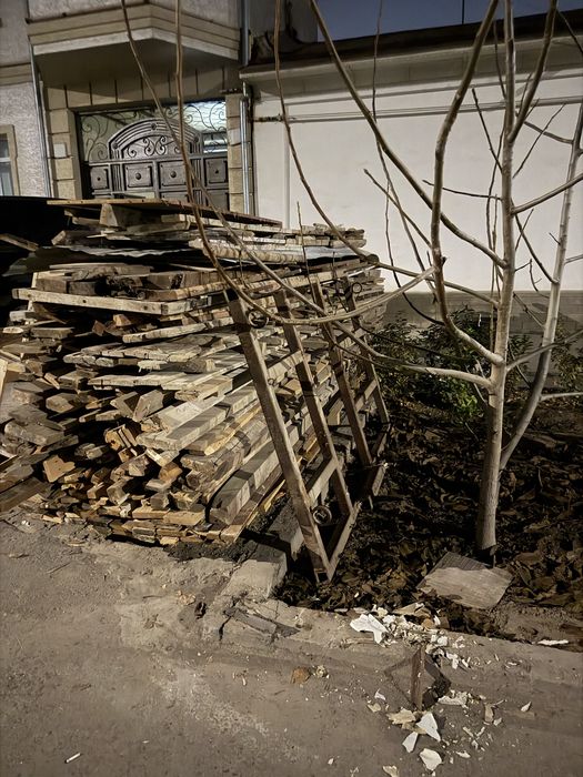 Tahta Tunka profnatil