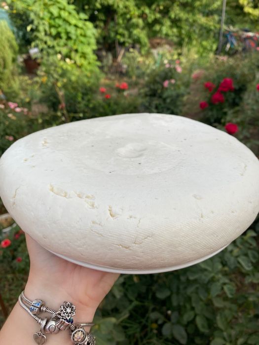 Brânză de capră de vânzare