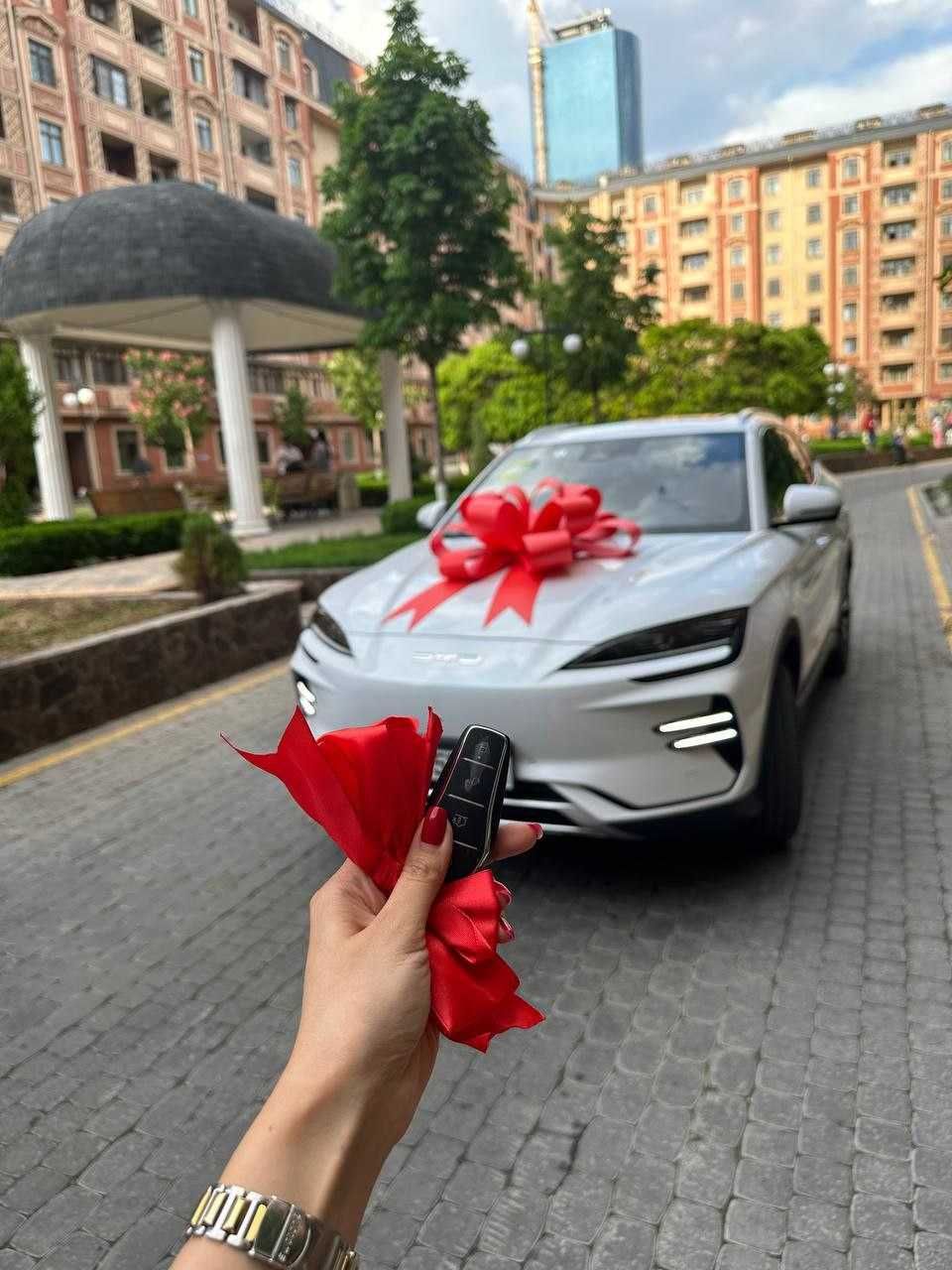 Bantik, Аренда авто бантов красных красивых и больших