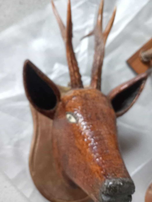 Trofeu căprior cu sculptură – decoruri autentice pe panoplie!