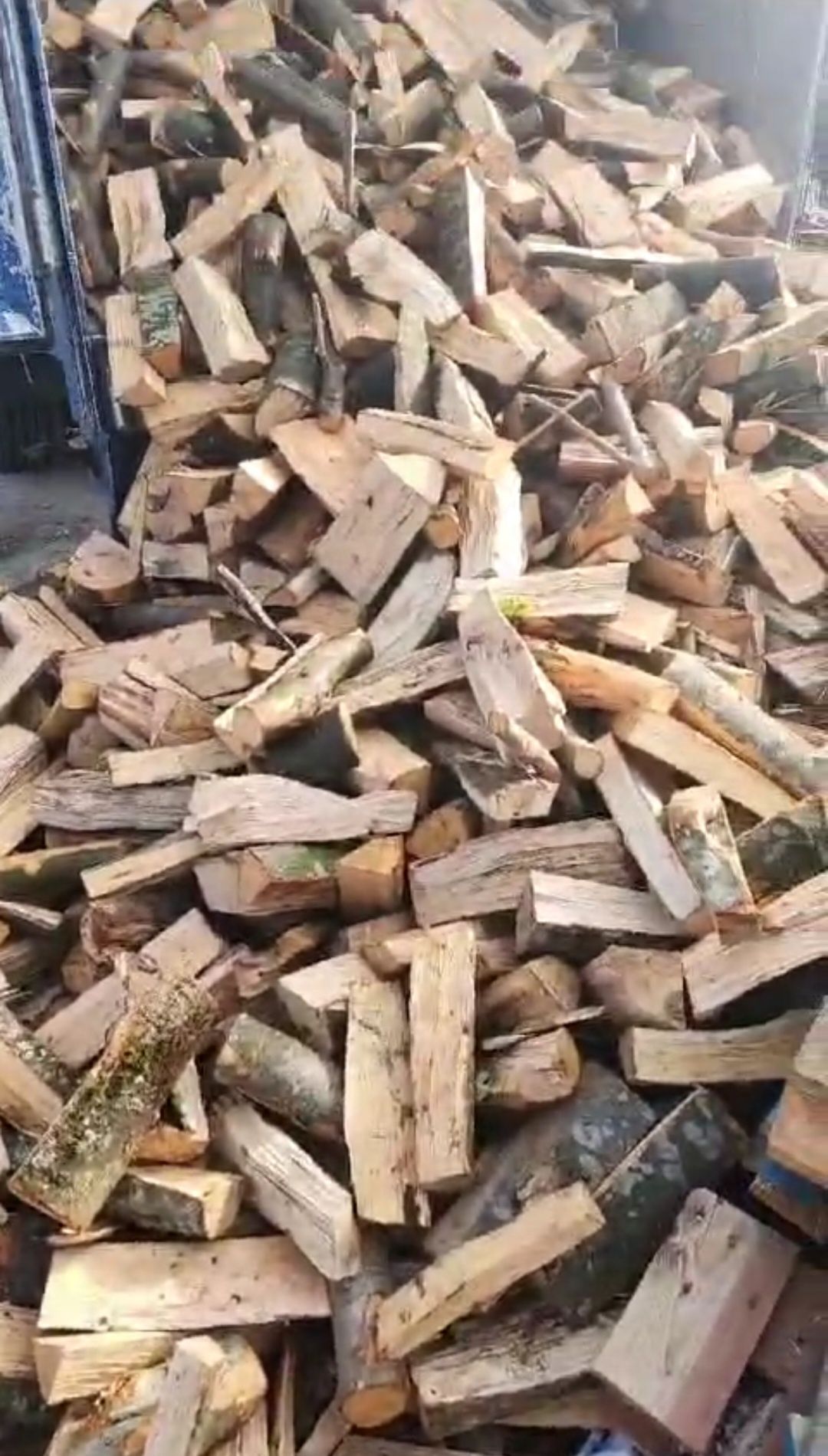 Vând lemne de foc de fag uscat