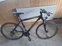 Bicicleta bergamont helix 3.3