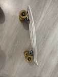 skateboard penny board