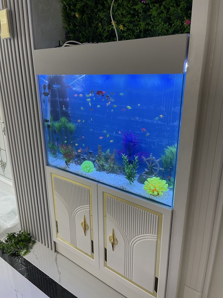Zakazga Akvarium qilib beramiza