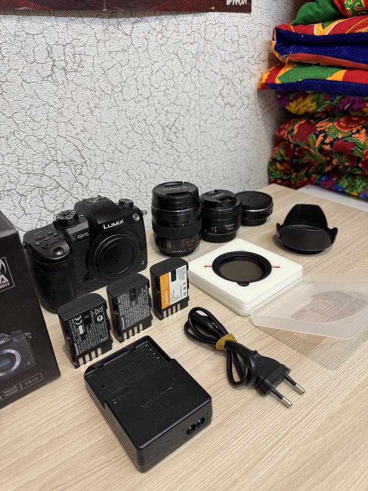 Panasonic Lumix GH5 | В Идеале