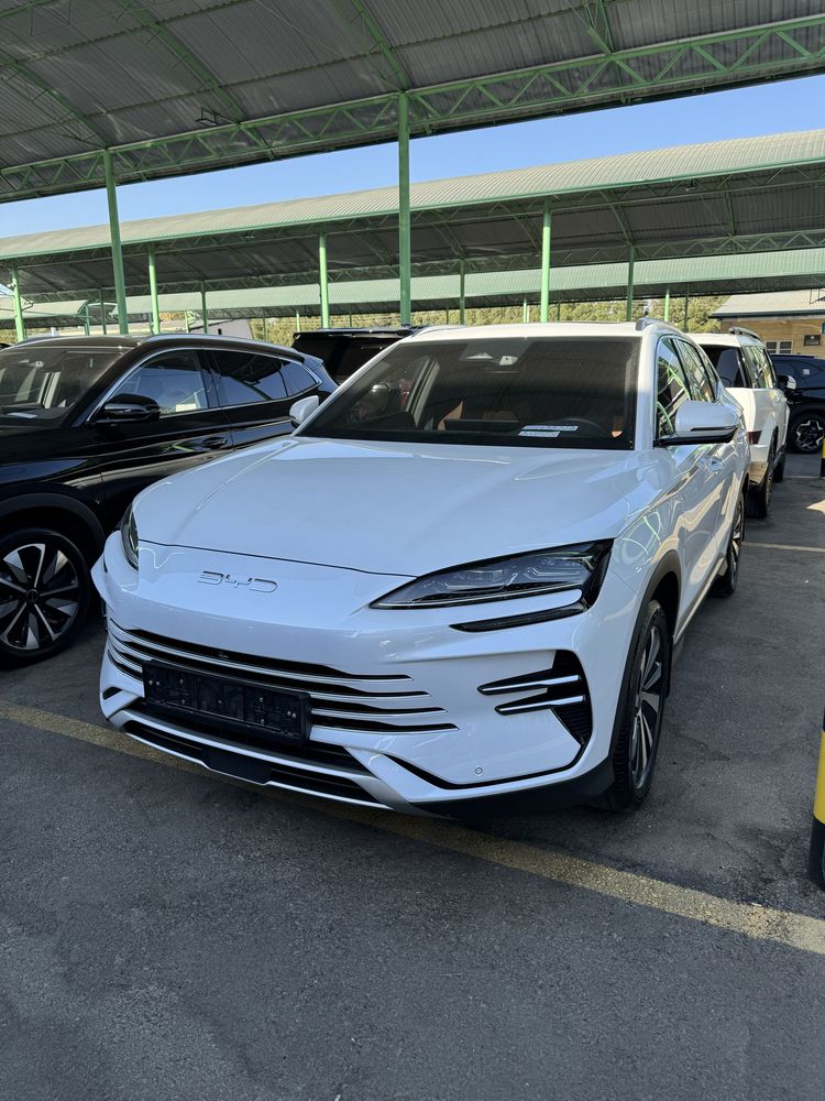 BYD Champion hybrid 150 full