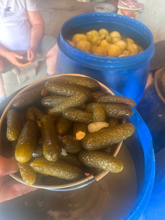 Vand castraveti murati