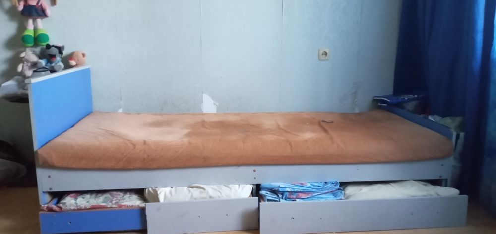 Кошачия когтеточка