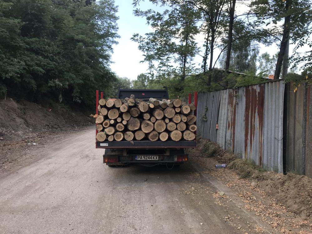 Продавам дъбови,Букови и Габър дърва за огрев
