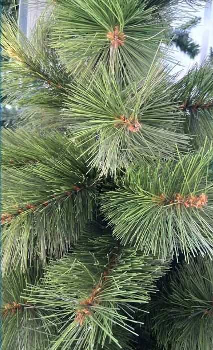 Коледна елха зелена 150 см