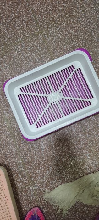 Лоток новый для кошек