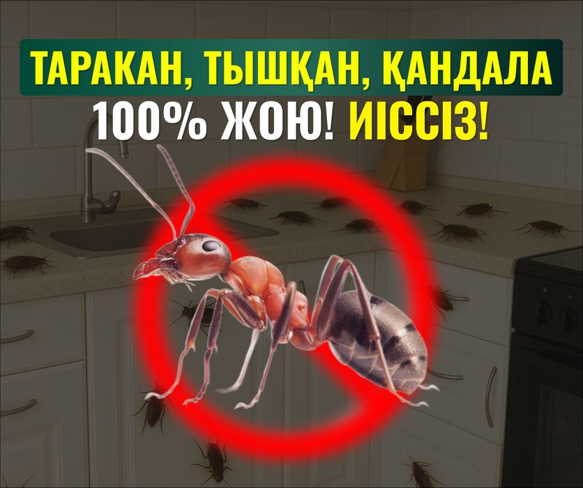 Дезинфекция, Дизинфекция, Шымкент без запаха, тараканы, клапы, муравей