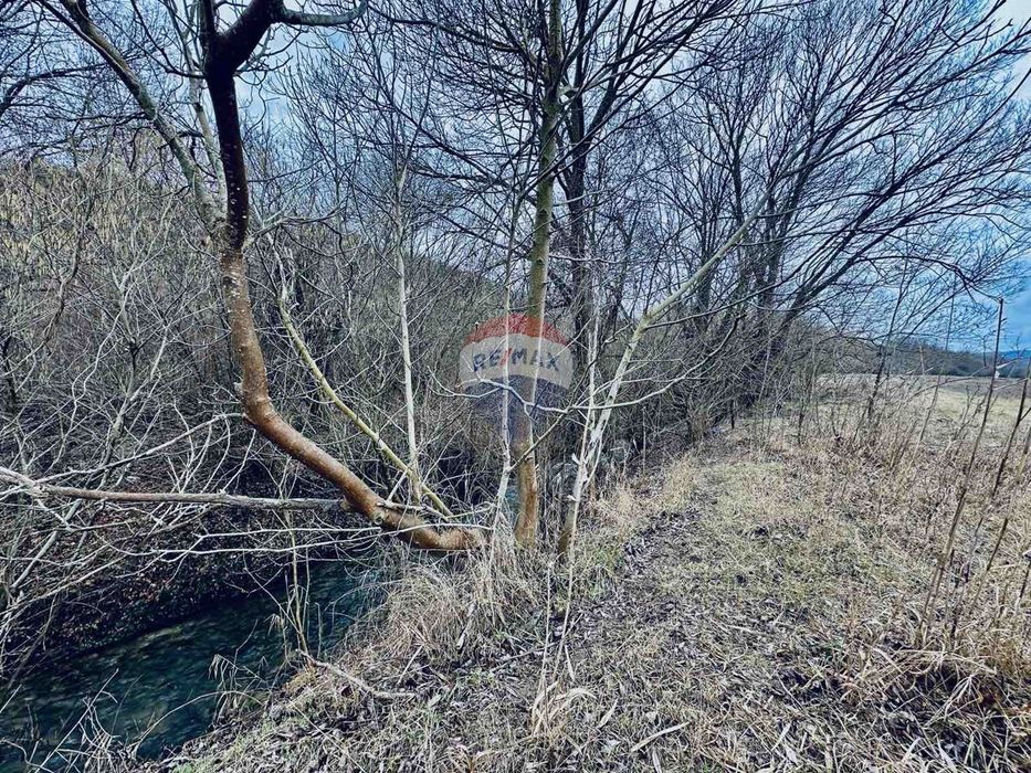 Продава се Парцел в с. Църква, Област Добрич - 25000 кв.м за 3 €/кв.м - Снимка #10