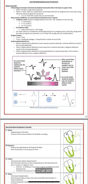 Anatomie, medicina fiziologie, sistem cardiovascular sistem respirator