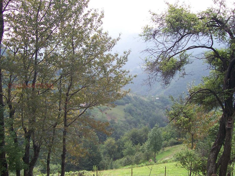 Продава се Къща в с. Губислав, Област София-област - 70 кв.м за 272 €/кв.м - Снимка #2