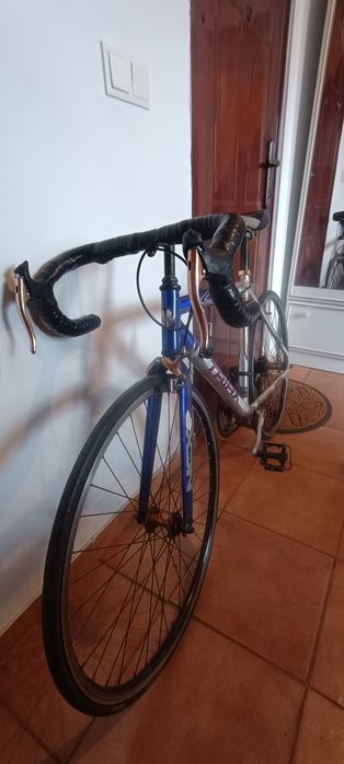 Cursiera  predare personala in Timișoara